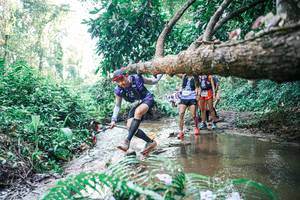 BIB: 
                            <button type="button" onclick="openModal(25464575)" class="btn btn-primary btn-sm float-right btn-popup" data-toggle="modal" data-target=".modal-high-quality">
                        <i class="fas fa-shopping-cart"></i> Add to Cart
                    </button>
                                            <button type="button" onclick="isThisMe(25464575, true)" class="btn btn-success btn-sm float-right btn-popup btn-isme hidden" data-toggle="tooltip" data-placement="bottom" title="นี่คือรูปของคุณใช่ไหม คลิกที่นี่เพื่อเอาเข้าอัลบั้ม">
                        <i class="fas fa-plus"></i> Add to album
                    </button>
                    <button type="button" onclick="isThisMe(25464575, false)" class="btn btn-warning btn-sm float-right btn-popup btn-isnotme hidden">
                        <i class="fas fa-ban"></i> Remove from album
                    </button>